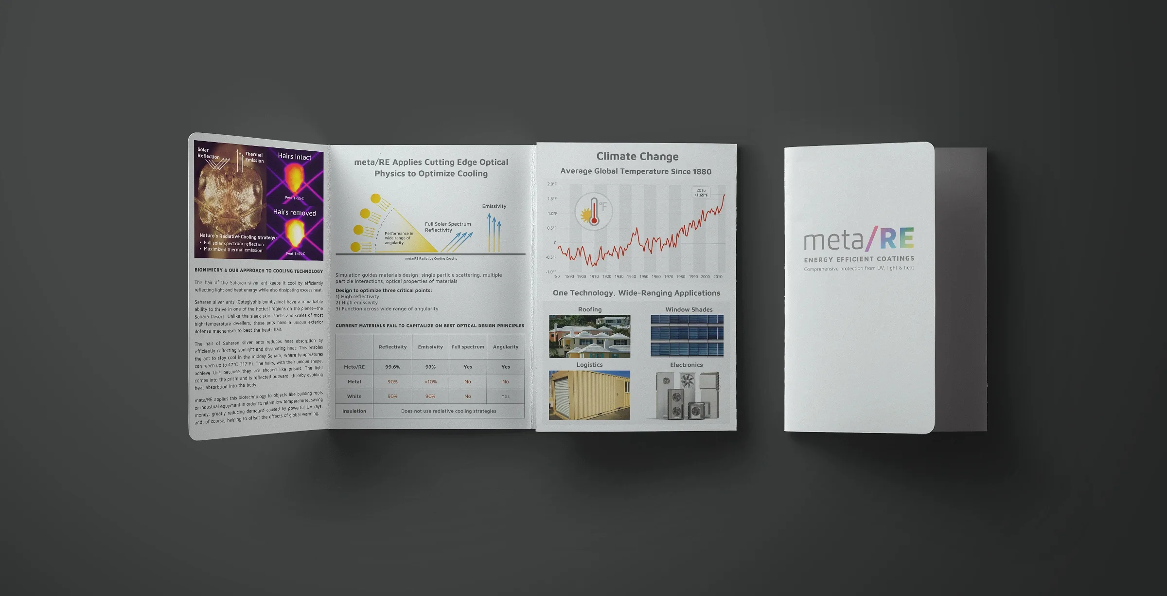 meta-RE-brochure copy